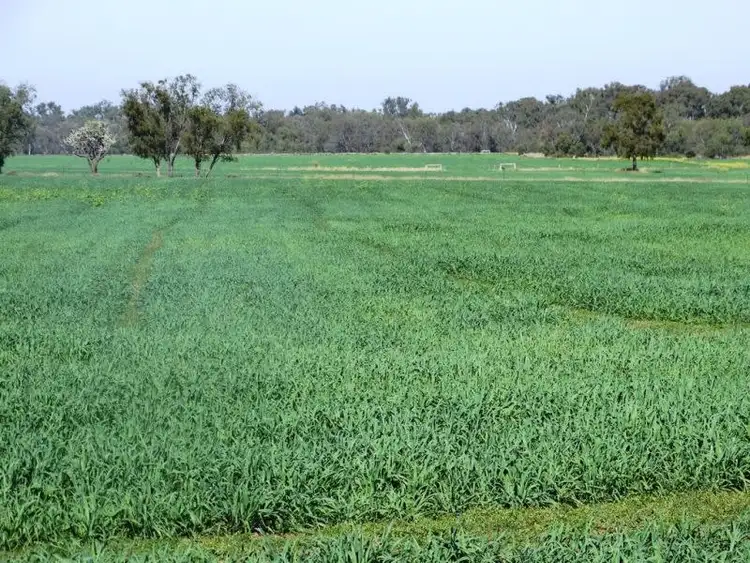 Sixth view of Homely rural property listing, 118 Barkers Road, Chinchilla QLD 4413