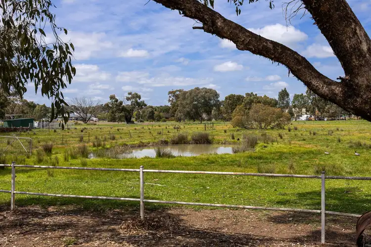 Fifth view of Homely house listing, 137 Main Street, Lake Albert NSW 2650