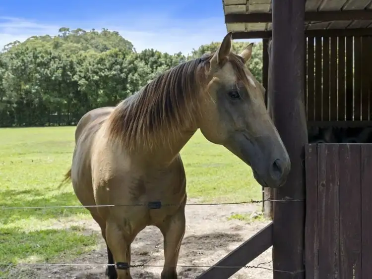 Second view of Homely rural property listing, 14 Adcocks Road, Stokers Siding NSW 2484