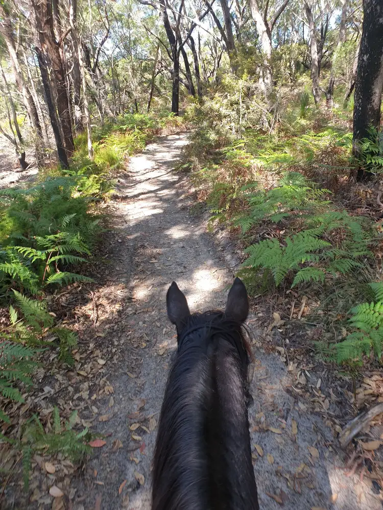 Third view of Homely rural property listing, 154 Danns Lane, Keith Hall NSW 2478