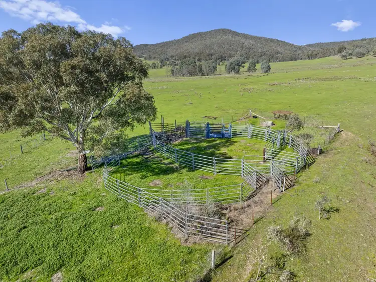 Third view of Homely rural property listing, 500 Watchbox Creek Road, Molyullah VIC 3673