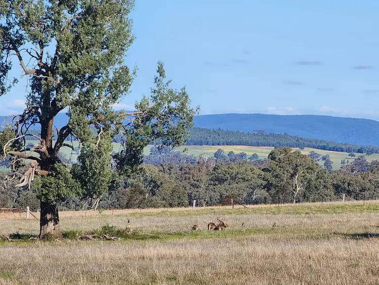 91 Aitken Lane, Parkes NSW 2870
