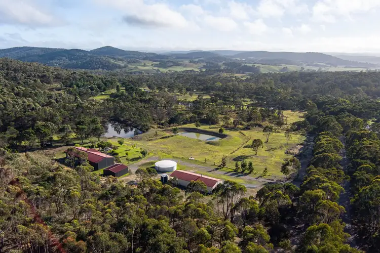 359 Forest Siding Road, Middle Arm NSW 2580