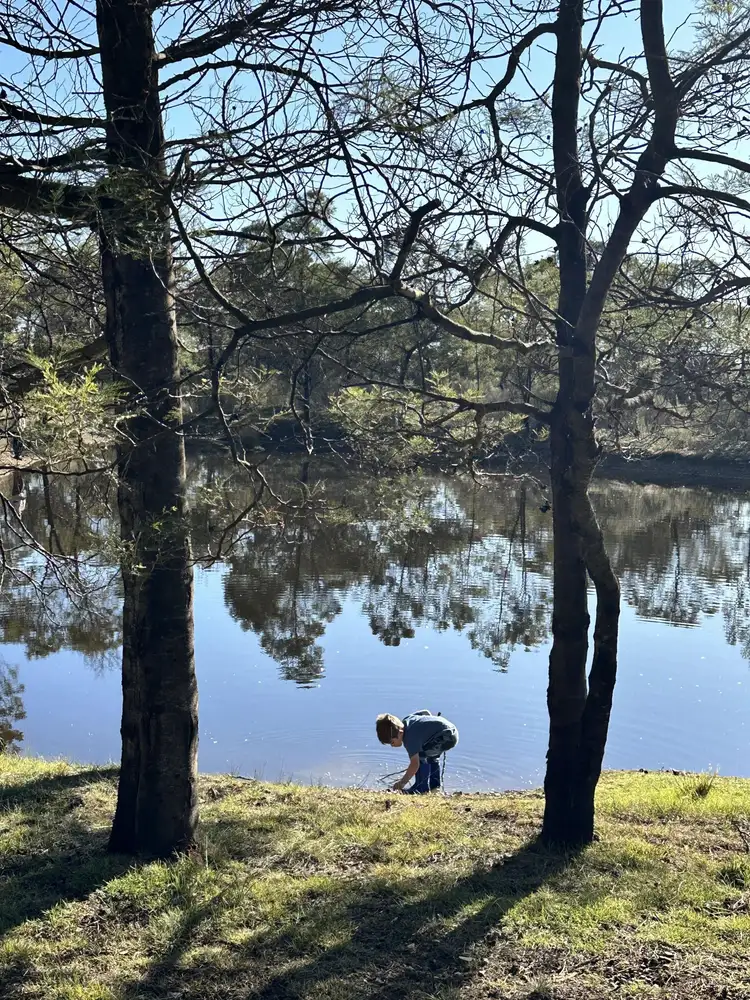 Fifth view of Homely rural property listing, 359 Forest Siding Road, Middle Arm NSW 2580