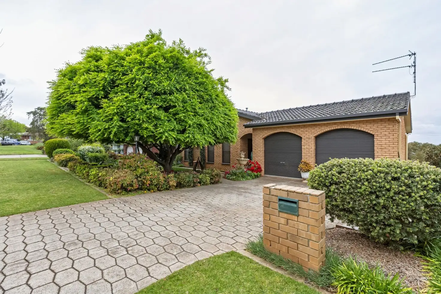 Main view of Homely house listing, 44 Henwood Avenue, Kooringal NSW 2650