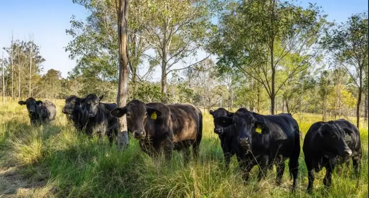 Second view of Homely land listing, 65 Jacob Road, Crows Nest QLD 4355