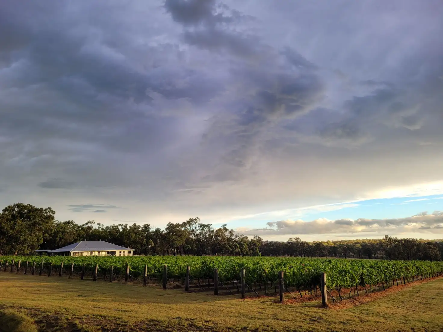 Main view of Homely rural property listing, 269 Jimmy Mann Road, Broadwater QLD 4380