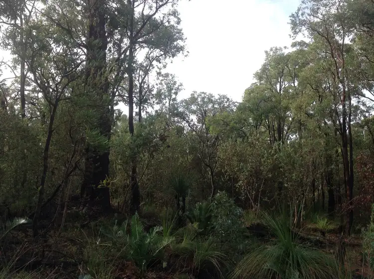 Sixth view of Homely land listing, 2905 Needham Road, Wooroloo WA 6558