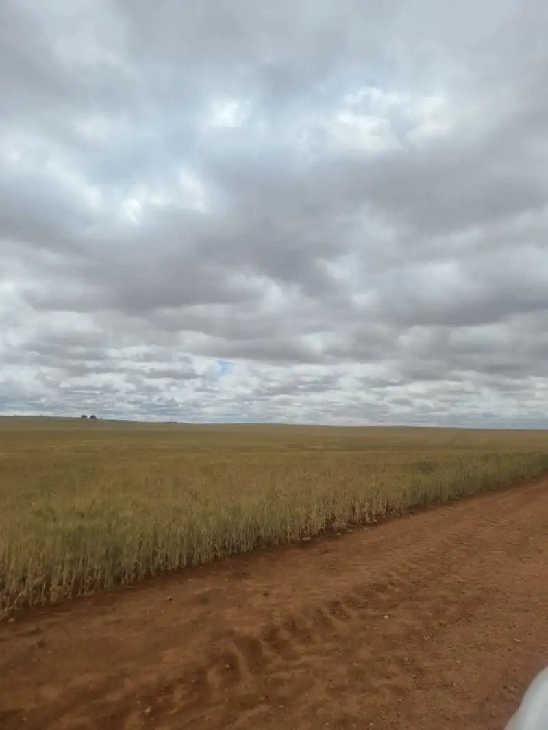 Main view of Homely land listing, Address available on request
