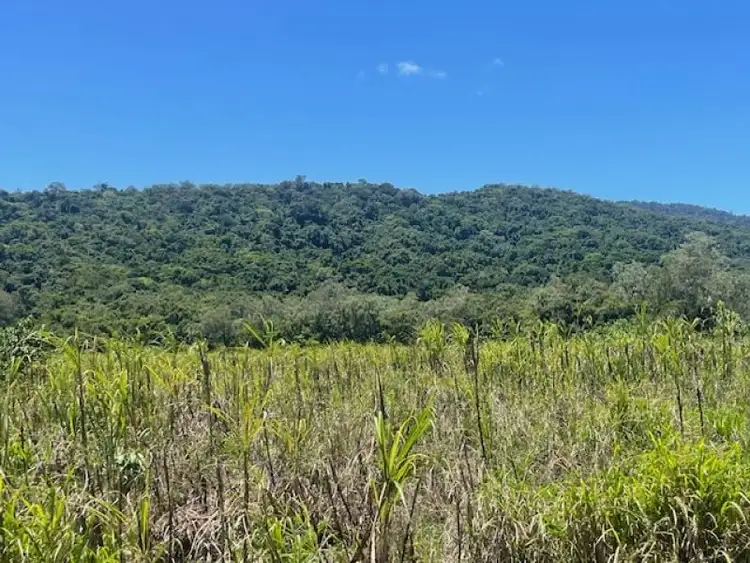 Third view of Homely rural property listing, 12 Pine Creek - Yarrabah Road, East Trinity QLD 4871