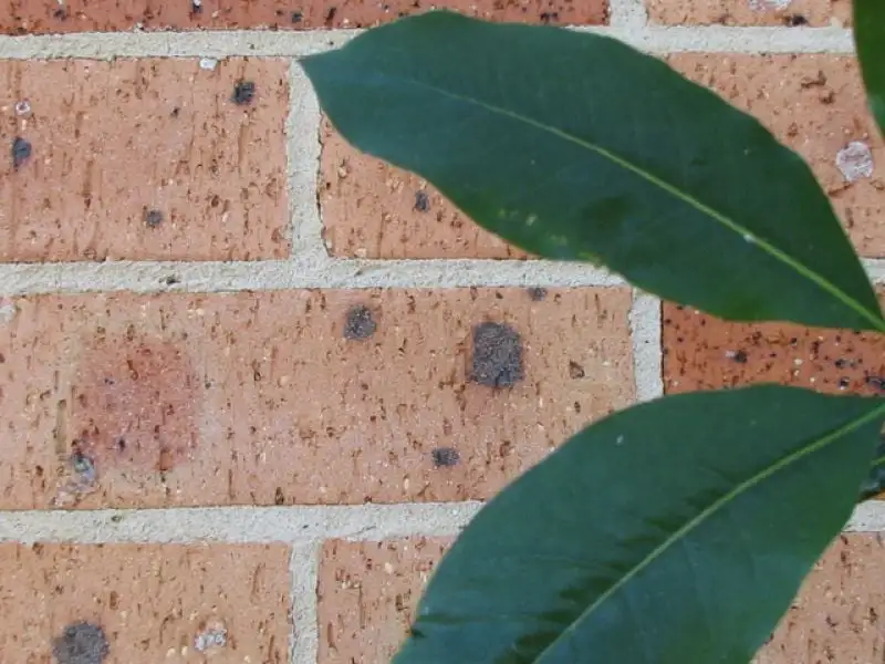 Main view of Homely townhouse listing, 3/6 Stanley Street, Lake Illawarra NSW 2528