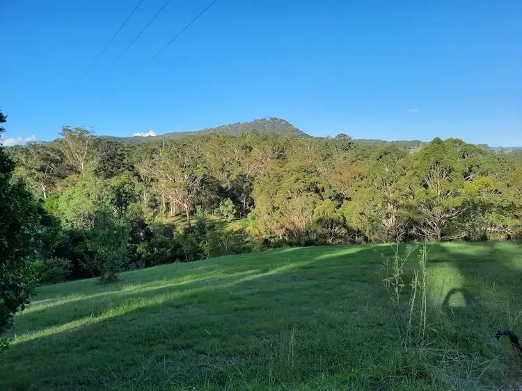 29 Flagstone Road, Legume NSW 2476