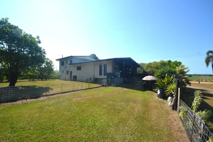 164 Gangemi Road