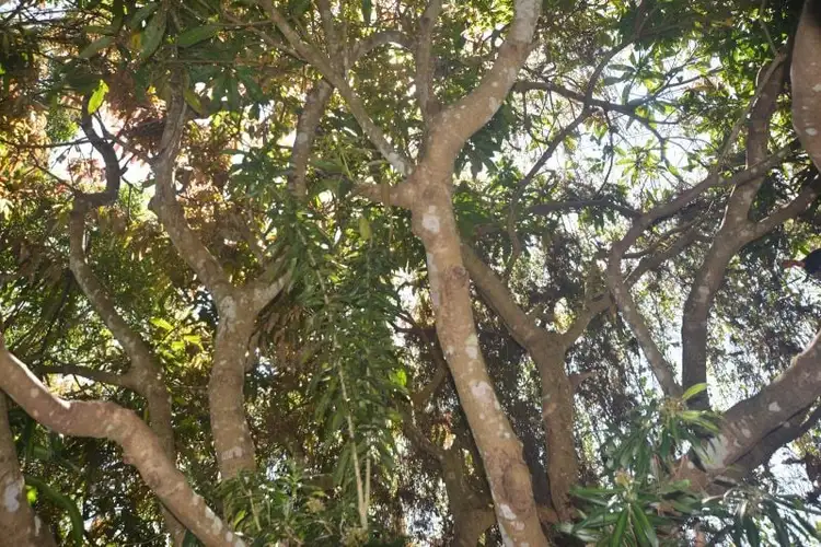 Fourth view of Homely house listing, 2 Nita Street, Ravenshoe QLD 4888