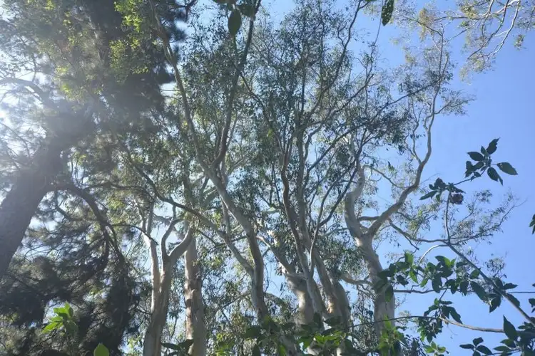 Fifth view of Homely house listing, 2 Nita Street, Ravenshoe QLD 4888