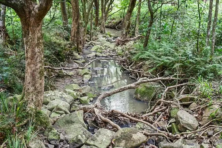 Second view of Homely rural property listing, 293 Stewart Road, Coondoo QLD 4570