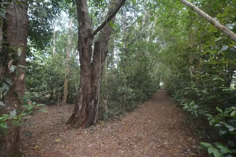 Fifth view of Homely rural property listing, Address available on request