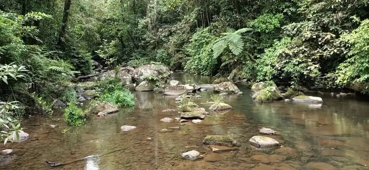 9 Middlebrook Rd, Millaa Millaa QLD 4886