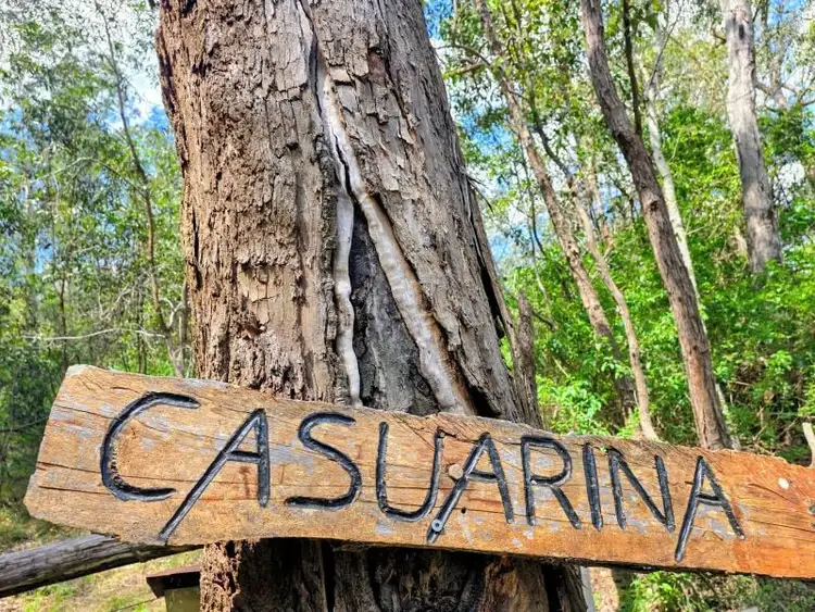 109 Back Creek Road, Crows Nest QLD 4355