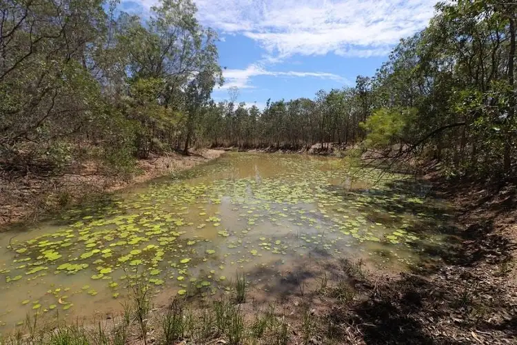 Second view of Homely rural property listing, 307 Blue Mountain Drive, Bluewater Park QLD 4818