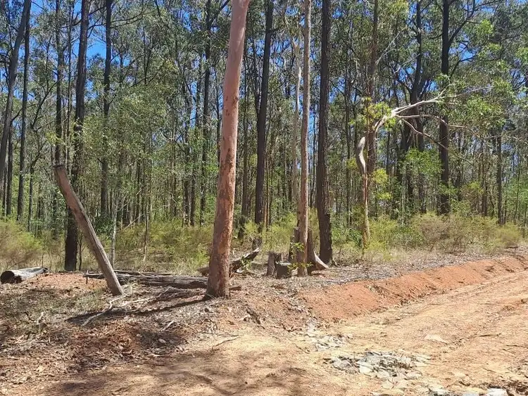 Sixth view of Homely land listing, 215 Paterson Road, Paterson QLD 4570