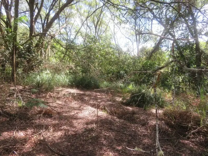 Main view of Homely house listing, 135 Ross Road, Evelyn QLD 4888