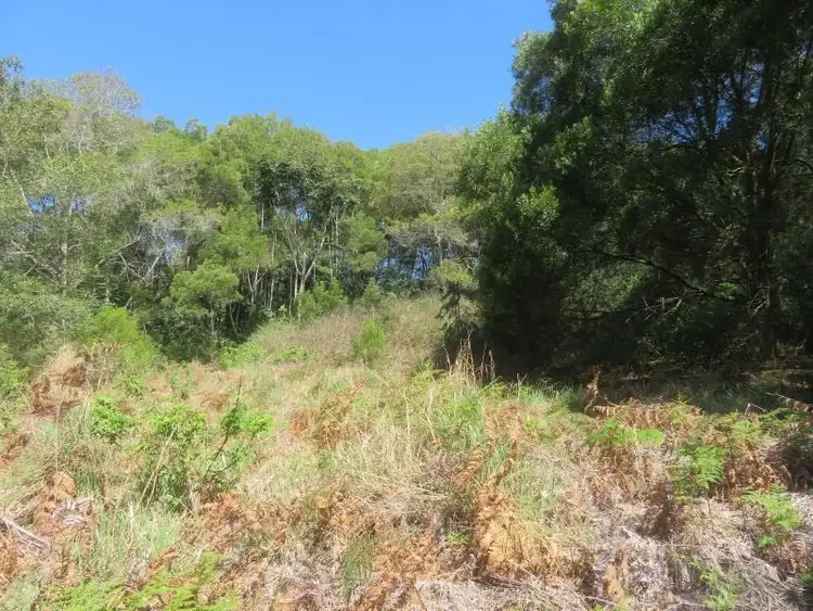 Second view of Homely house listing, 135 Ross Road, Evelyn QLD 4888