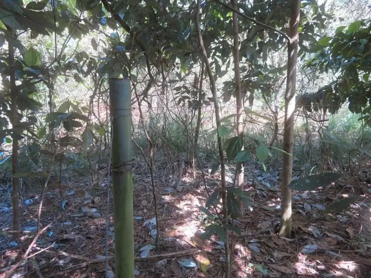 Third view of Homely house listing, 135 Ross Road, Evelyn QLD 4888