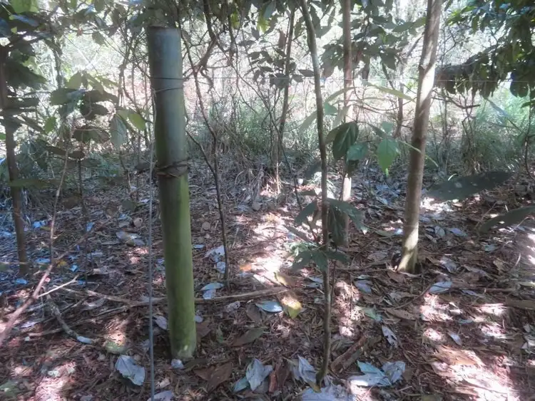 Fourth view of Homely house listing, 135 Ross Road, Evelyn QLD 4888