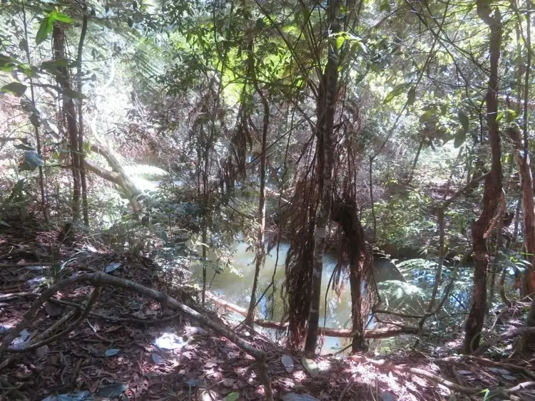 Fifth view of Homely house listing, 135 Ross Road, Evelyn QLD 4888