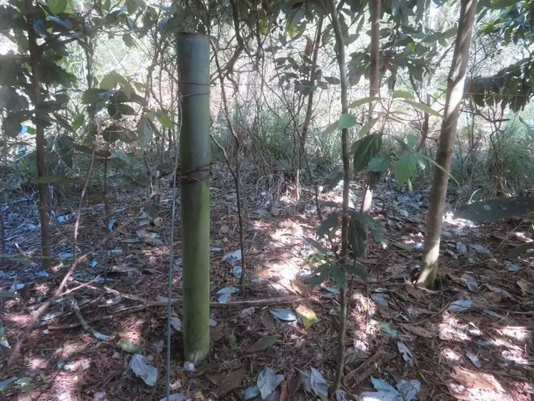 Sixth view of Homely house listing, 135 Ross Road, Evelyn QLD 4888