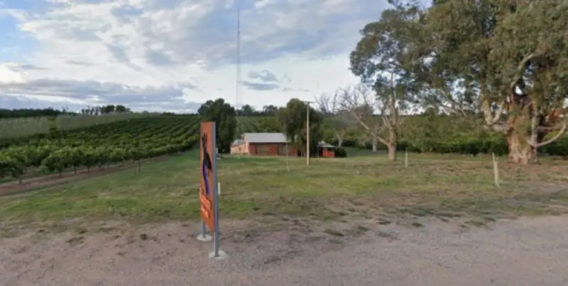 Main view of Homely house listing, 317 Ramco Road, Waikerie SA 5330