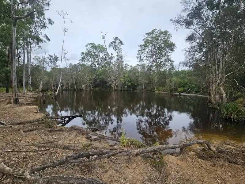 Main view of Homely rural property listing, 129 Davis Road, Bauple Forest QLD 4650