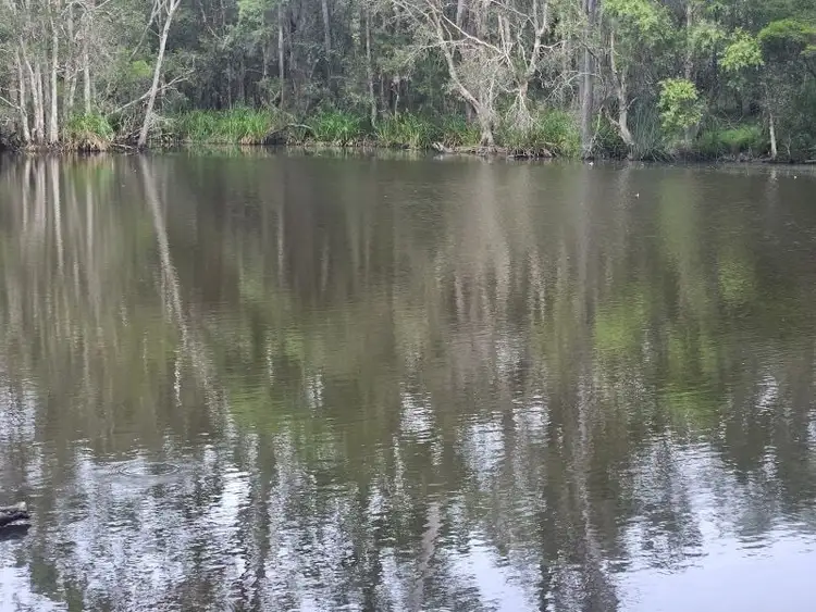 Fourth view of Homely rural property listing, 129 Davis Road, Bauple Forest QLD 4650