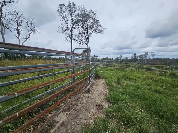 Seventh view of Homely rural property listing, 129 Davis Road, Bauple Forest QLD 4650