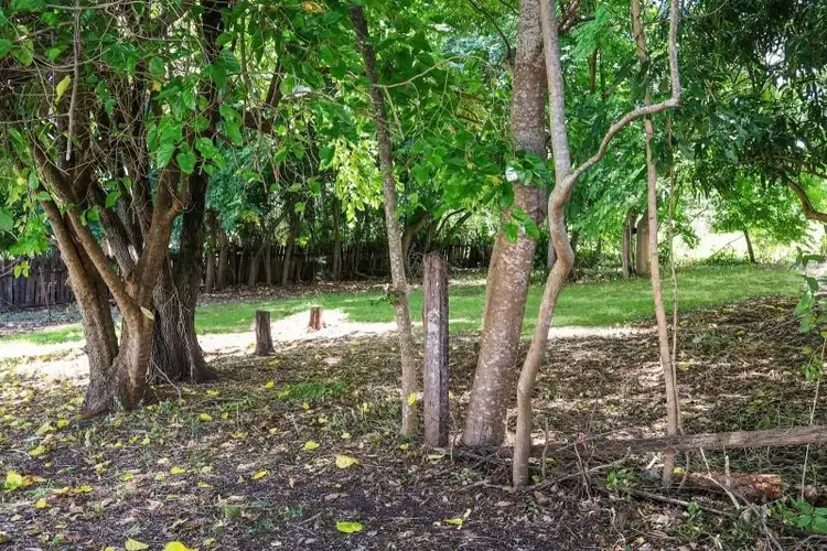 Seventh view of Homely house listing, 17-19 Larkin Street, Kyogle NSW 2474