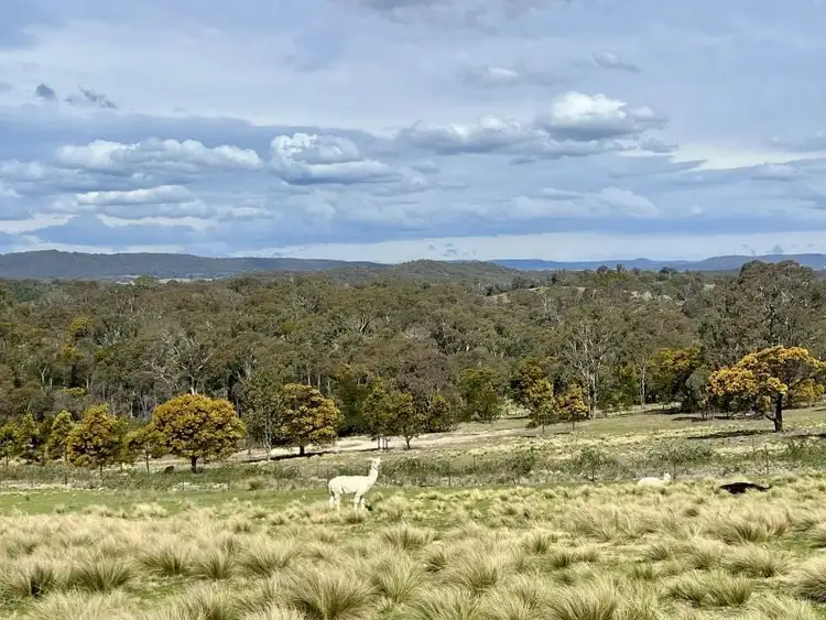 Fourth view of Homely rural property listing, 540 Marble Hill Road, Kingsdale NSW 2580