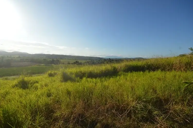 1212 Innisfail Japoon Road, Camp Creek QLD 4871