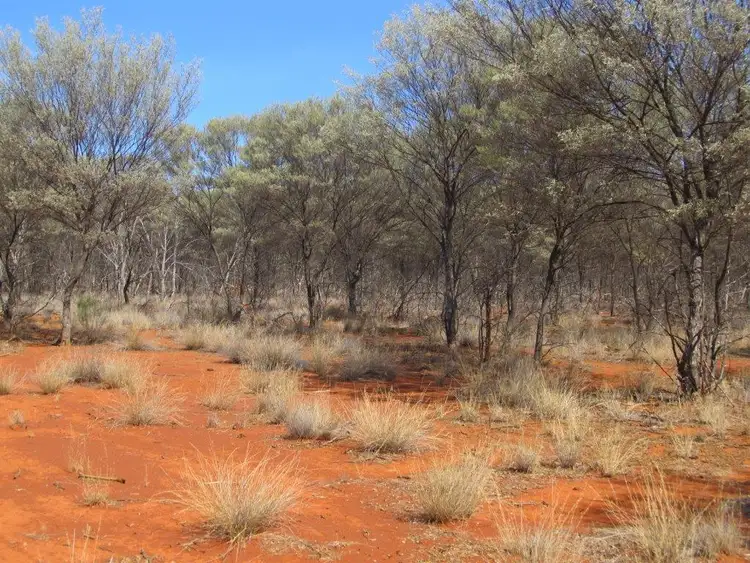 Third view of Homely rural property listing, - Woodstock, Bourke NSW 2840