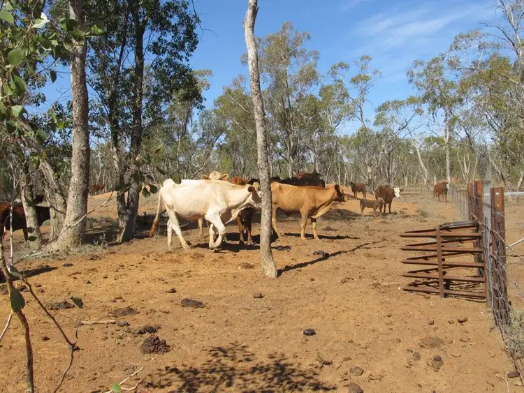 Fifth view of Homely rural property listing, - Woodstock, Bourke NSW 2840
