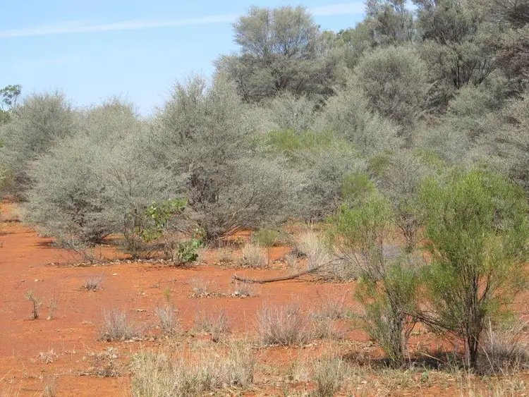 Seventh view of Homely rural property listing, - Woodstock, Bourke NSW 2840