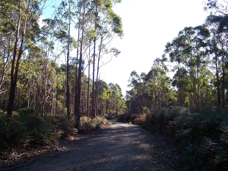 Second view of Homely land listing, Lot 1 Calders Gully Road, Mangana TAS 7214
