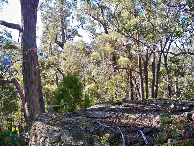 Fifth view of Homely land listing, Lot 1 Calders Gully Road, Mangana TAS 7214