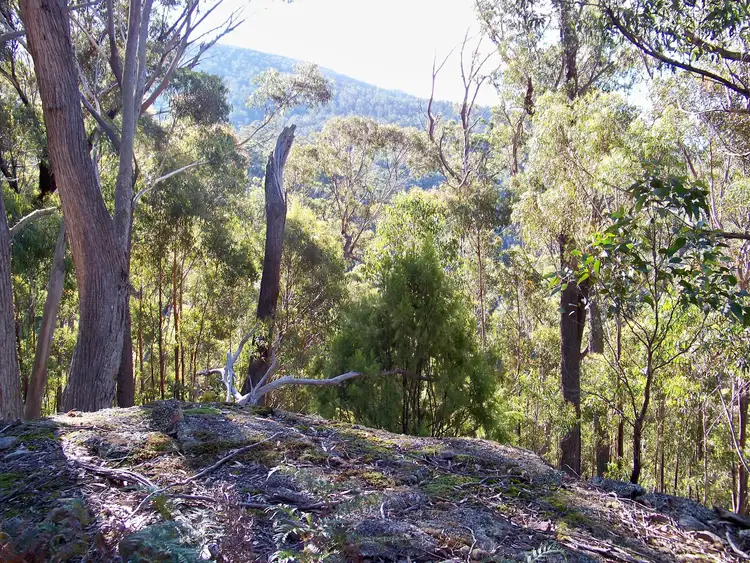 Sixth view of Homely land listing, Lot 1 Calders Gully Road, Mangana TAS 7214
