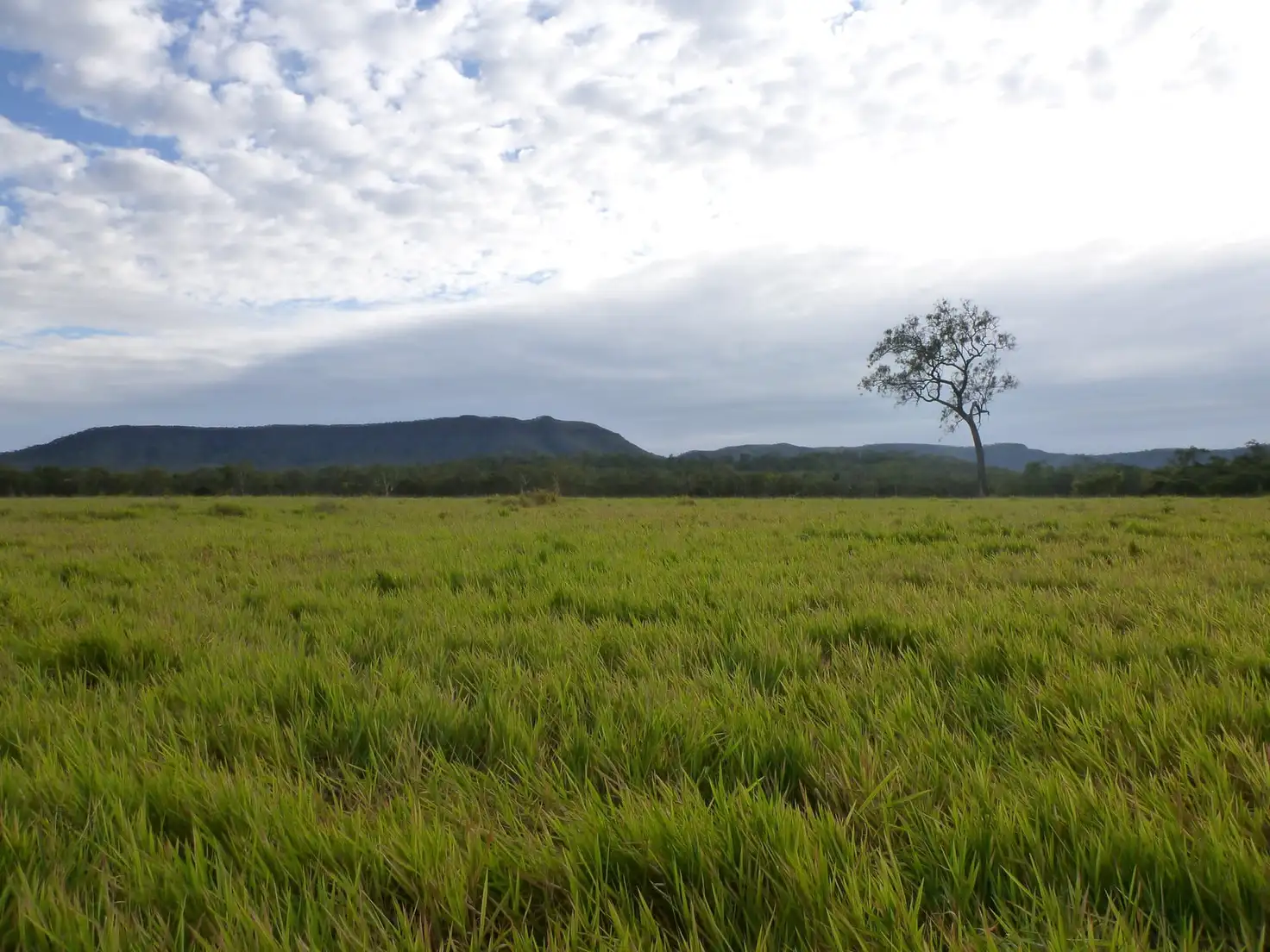 Main view of Homely rural property listing, Lot 1 Endeavour Valley Road, Cooktown QLD 4895