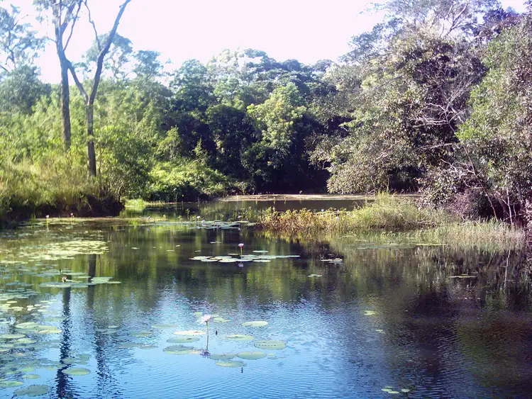 Sixth view of Homely rural property listing, Lot 1 Endeavour Valley Road, Cooktown QLD 4895