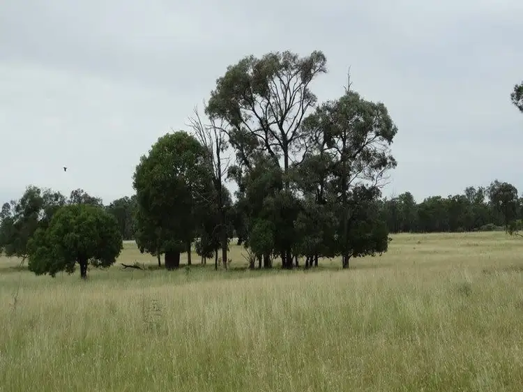 Lot 41 Surcingle Road, Chinchilla QLD 4413