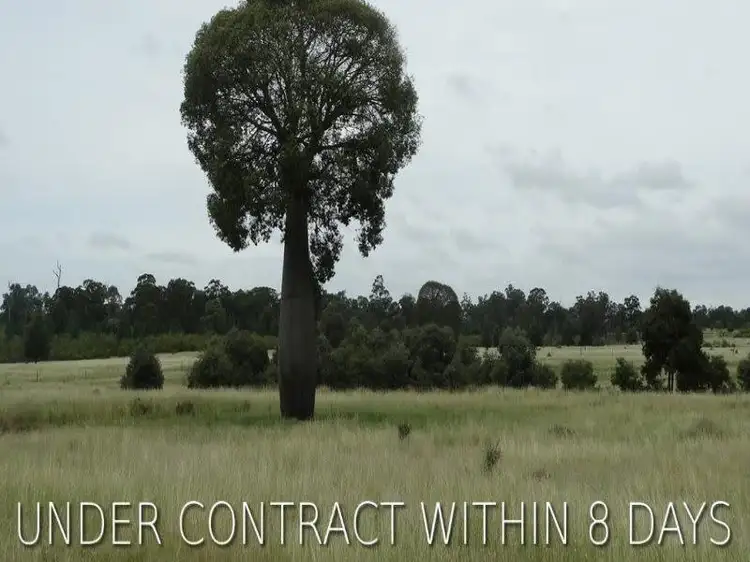 Second view of Homely rural property listing, Lot 41 Surcingle Road, Chinchilla QLD 4413