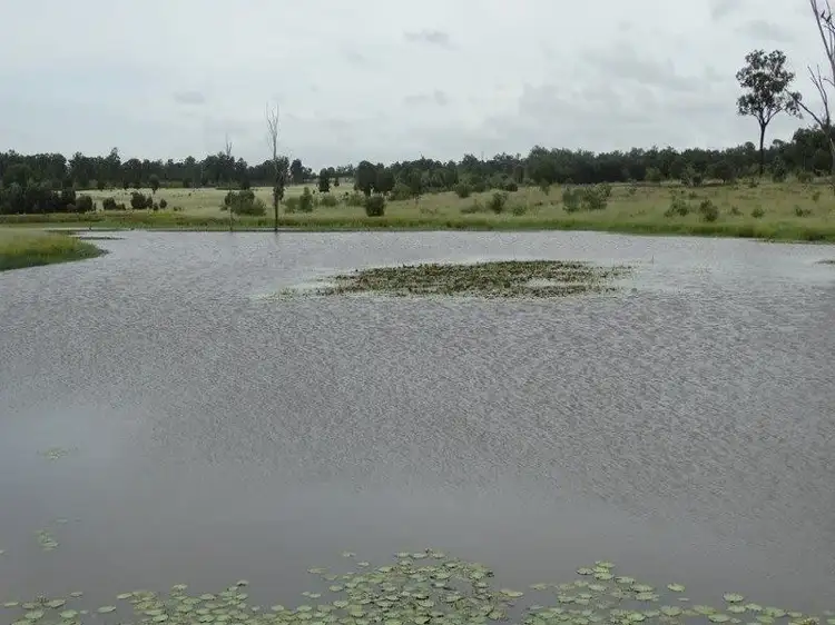 Third view of Homely rural property listing, Lot 41 Surcingle Road, Chinchilla QLD 4413