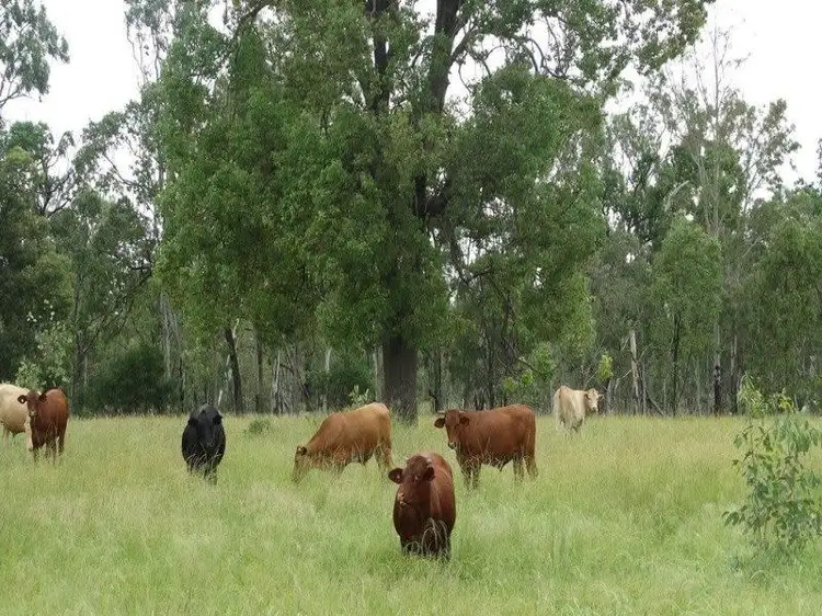 Fourth view of Homely rural property listing, Lot 41 Surcingle Road, Chinchilla QLD 4413